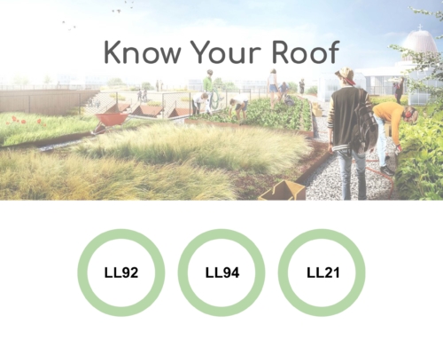 Know Your Roof
